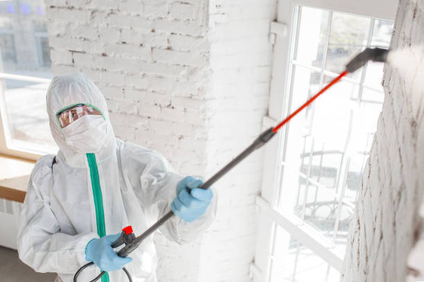 Best Airborne Mold Testing  in Columbus, NE