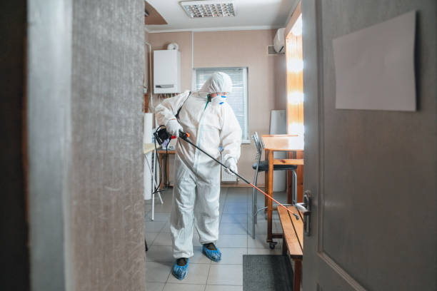 Best Commercial Mold Inspection  in Columbus, NE
