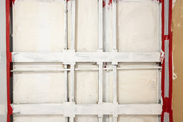 Best Basement Mold Removal  in Columbus, NE
