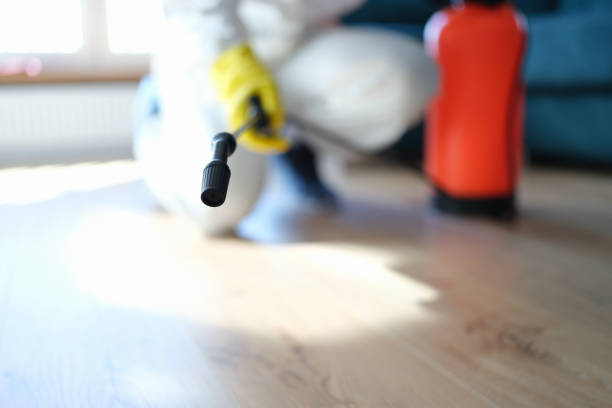 Best Post-Remediation Verification Testing  in Columbus, NE