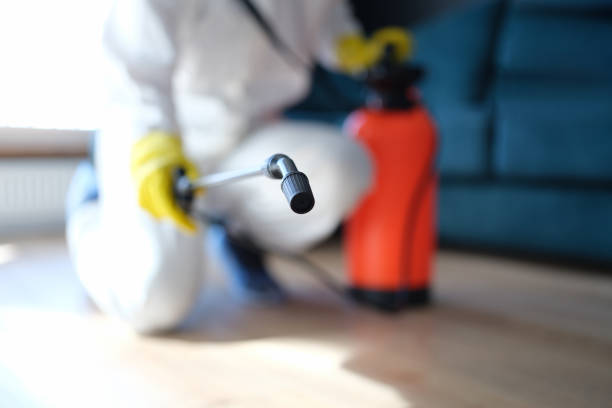 Best Environmental Consulting for Mold Prevention  in Columbus, NE