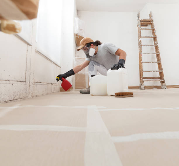 Best Black Mold Removal  in Columbus, NE