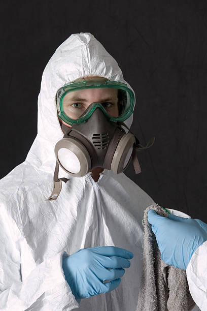 Best Basement Mold Removal  in Columbus, NE